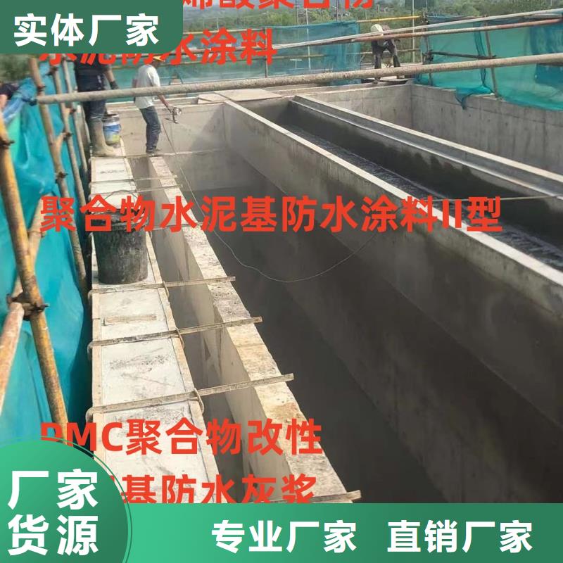 RLFA水性聚乙烯防腐涂料(污水厂)满足客户需求实力工厂反应型弹性防腐有机防水涂料