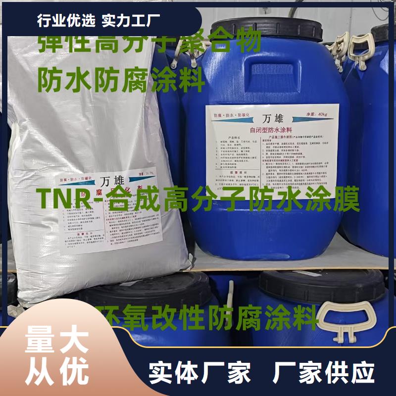 LM复合防腐防水涂料打造好品质加工EMA弹性环氧改性防腐涂料