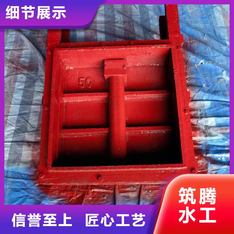农田水渠闸门真诚合作