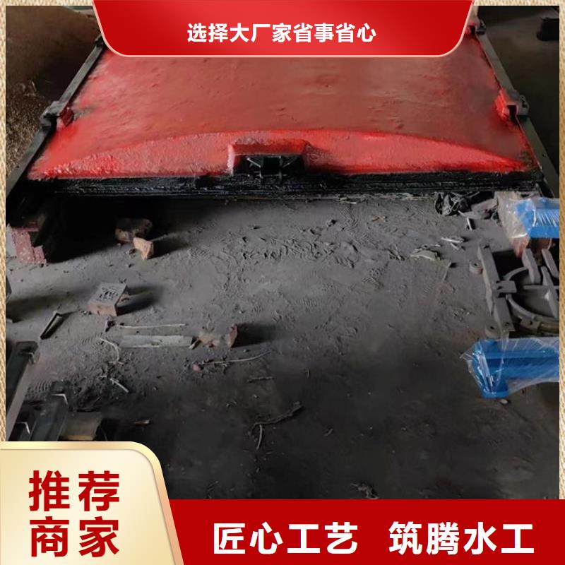 机门一体闸门厂家直营