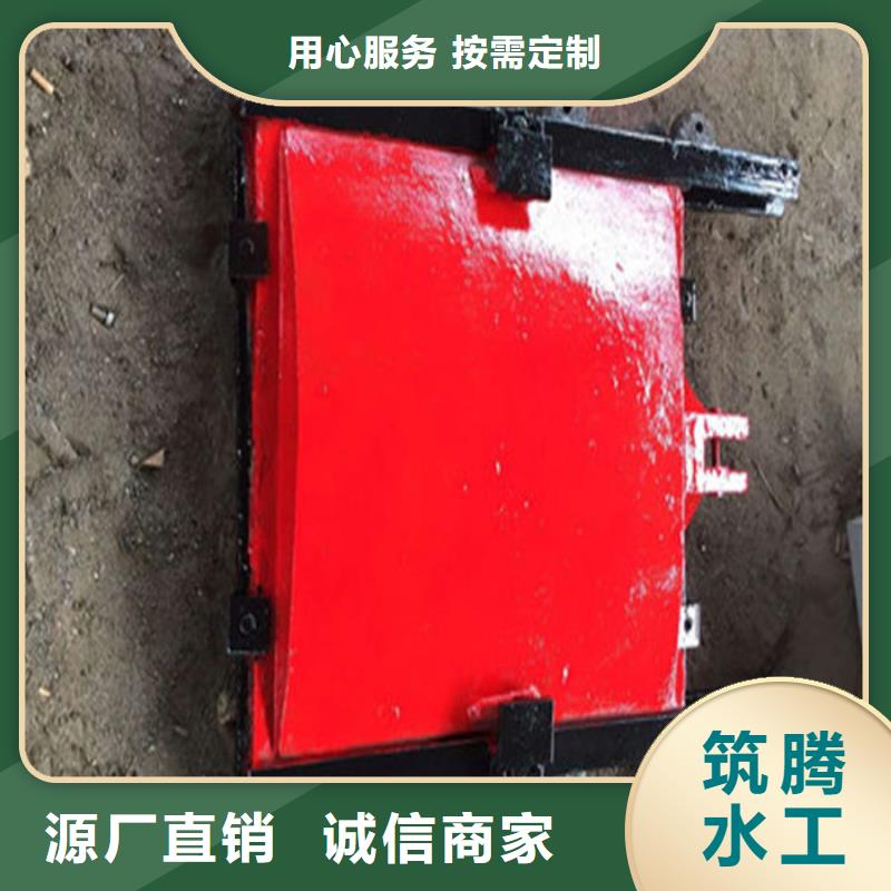 单向铸铁闸门厂家直销