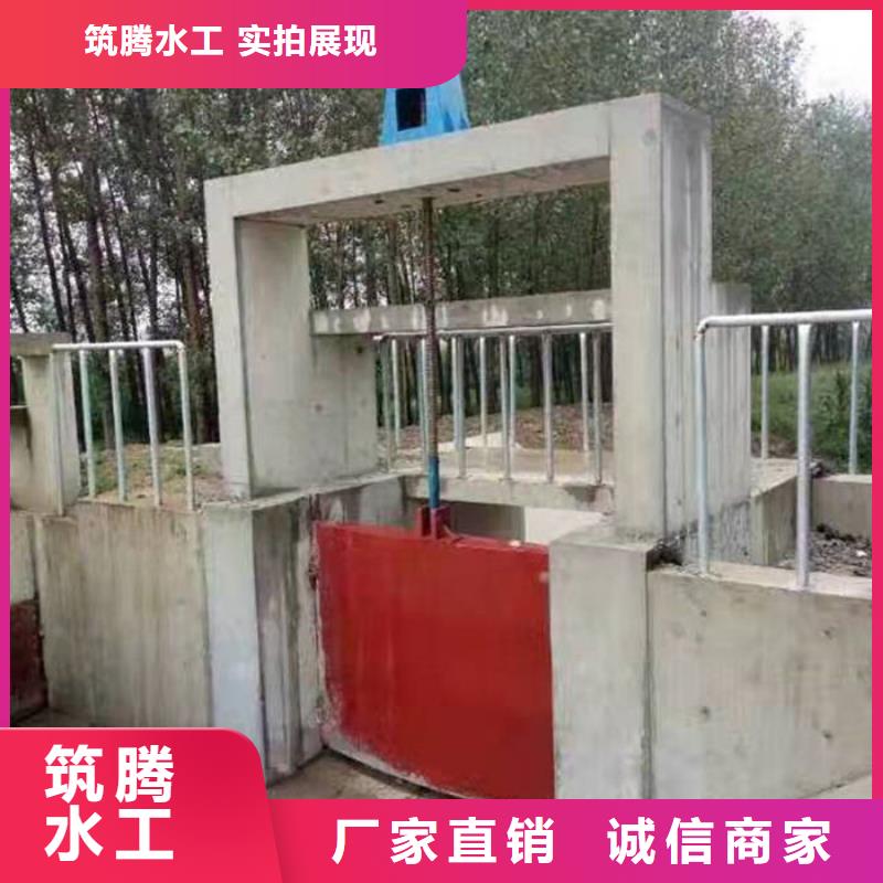机门一体闸门厂家直营