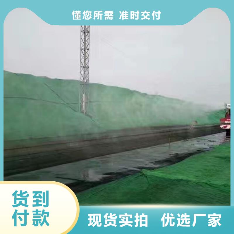 火车运煤结壳剂实力厂家